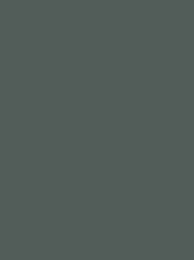 723   POLYNEON GREEN GRS 2500 m  6640