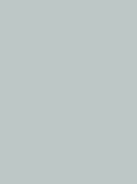 723   POLYNEON GREEN GRS 2500 m  6687