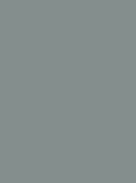 723   POLYNEON GREEN GRS 2500 m  6918